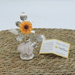 Girasole in capodimonte