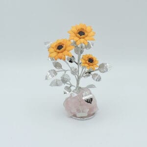 Girasoli