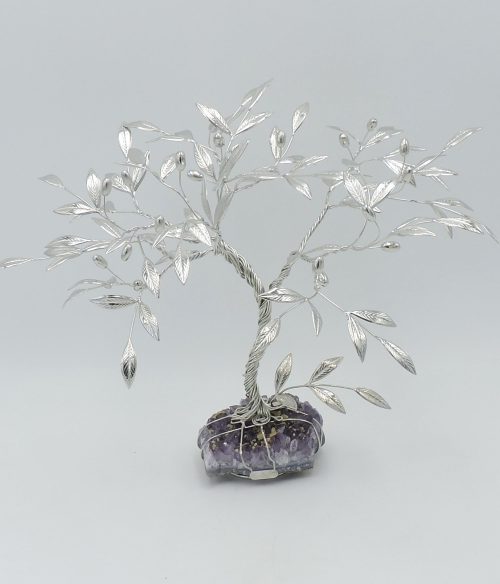 bonsai-di-olivo
