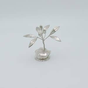 bonsai olivo argento