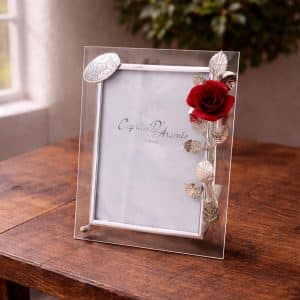 Cornice nozze d'argento con rosa decorativa