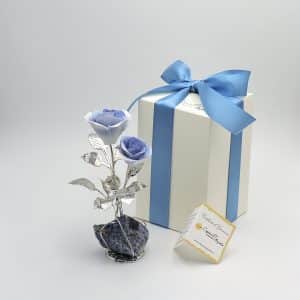 Rose blu sfumate