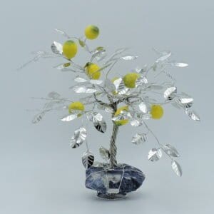 limone-bonsai