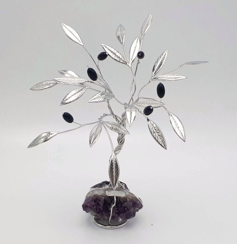 bonsai-olivo-argento
