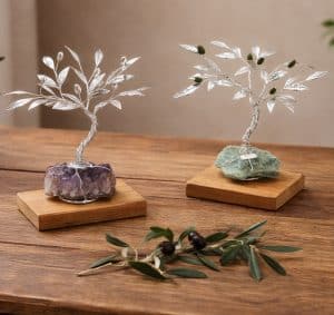 Bonsai di olivo