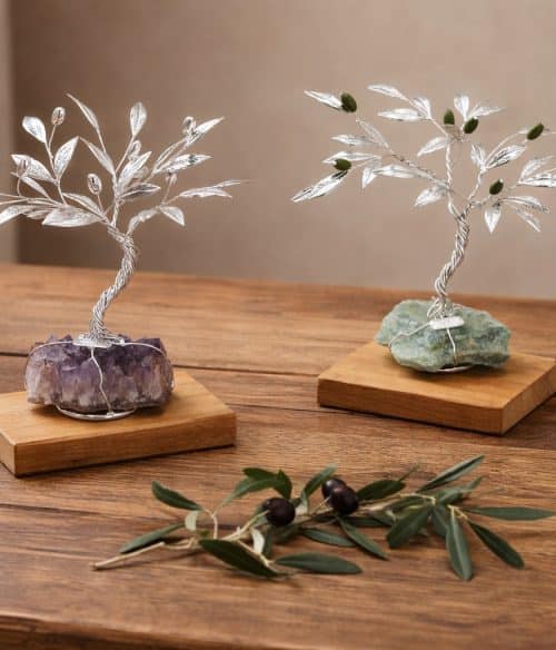 Bonsai di olivo