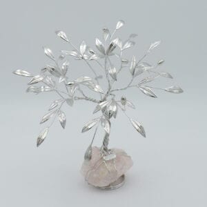albero-di-olivo