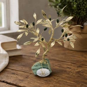 Bonsai di olivo per le nozze d'oro