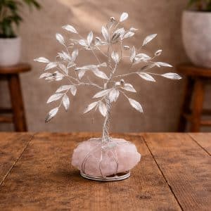Bonsai di olivo decorativo