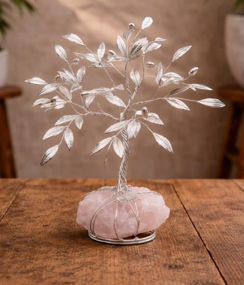 Bonsai di olivo decorativo