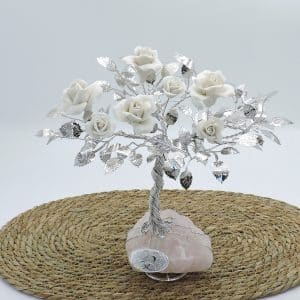 Regalo nozze d'argento