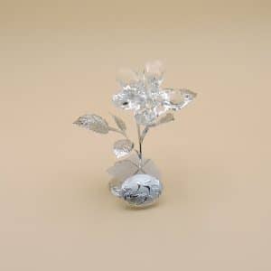 Regalo 25 anni di matrimonio