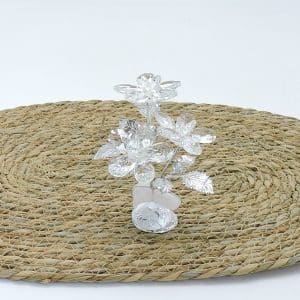 Regalo nozze d'argento