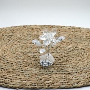 Regalo anniversario di matrimonio