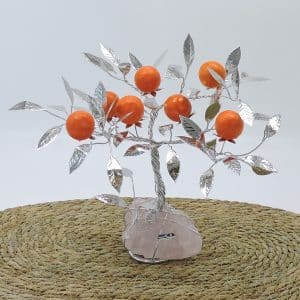 Albero della vita- arancio