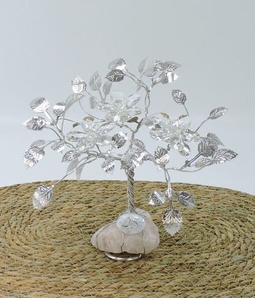 Regalo Nozze d'Argento