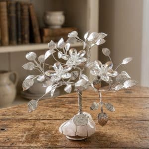 Regalo nozze d'argento